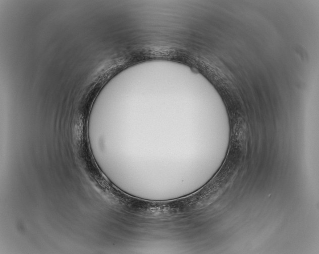 X0000110910744200907091436