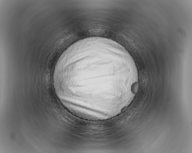 X0000110910745200907091436