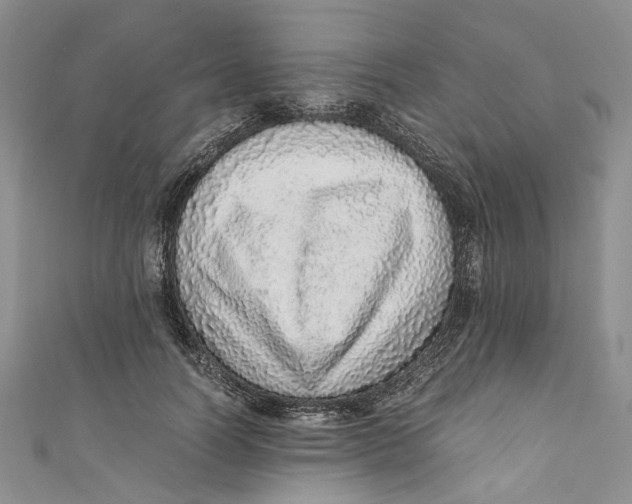 X0000110910746200907091436