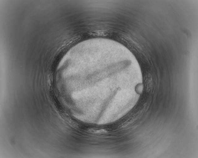 X0000110910747200907091436