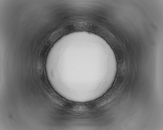 X0000110910749200907091436