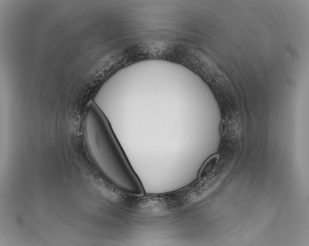 X0000110910750200907091436