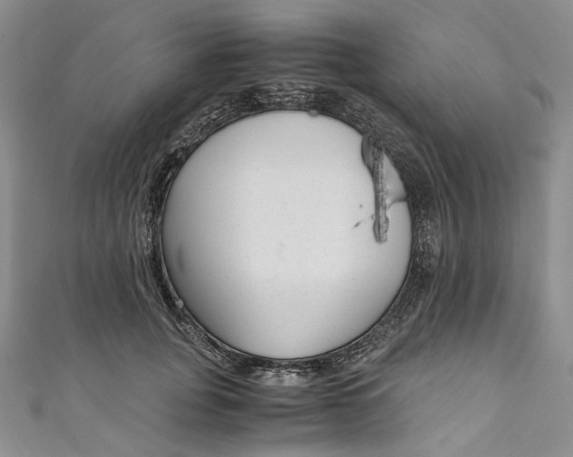 X0000110910751200907091436