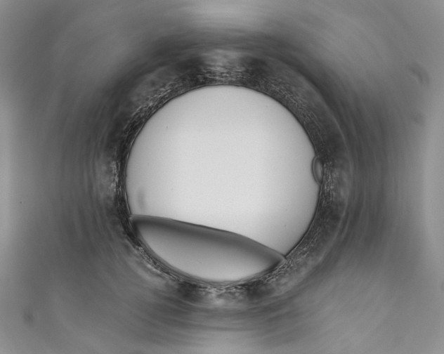 X0000110910752200907091436