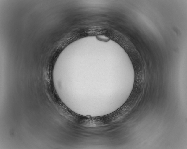 X0000110910755200907091436