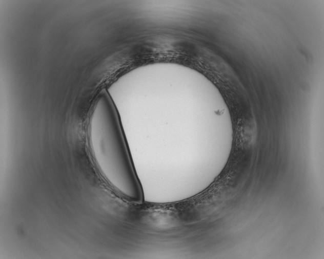 X0000110910756200907091436