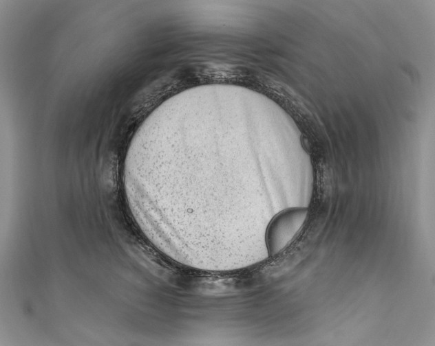 X0000110910760200907091436