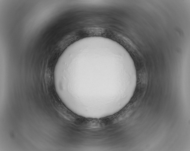 X0000110910761200907091436