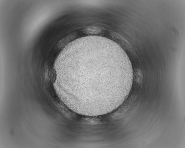 X0000110910763200907091436