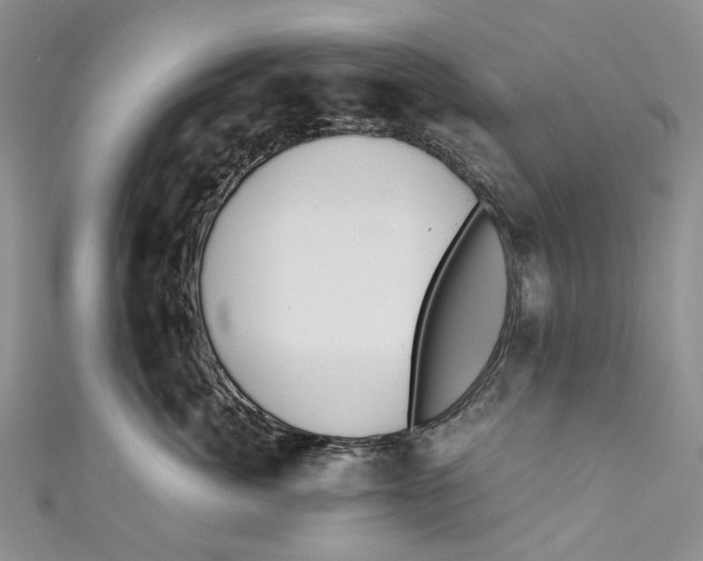 X0000110910764200907091436