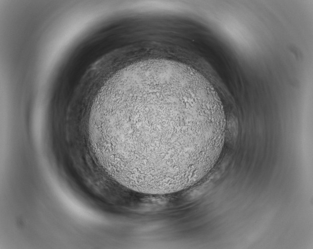 X0000110910765200907091436