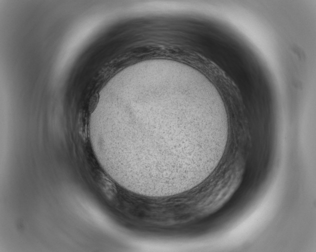 X0000110910766200907091436