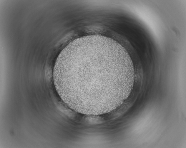 X0000110910767200907091436