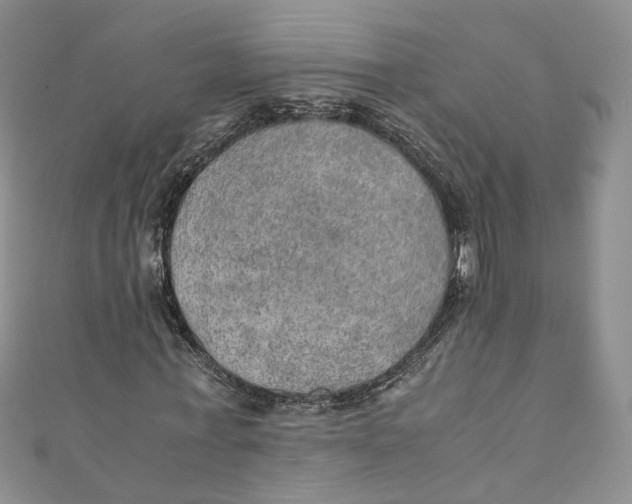 X0000110910771200907091436