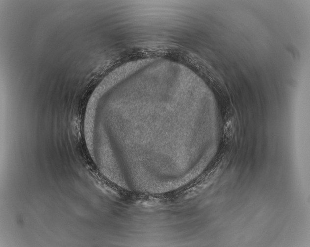 X0000110910772200907091436