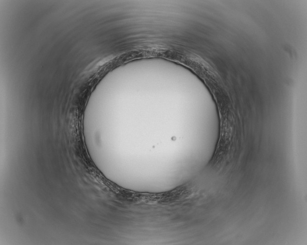 X0000110910773200907091436