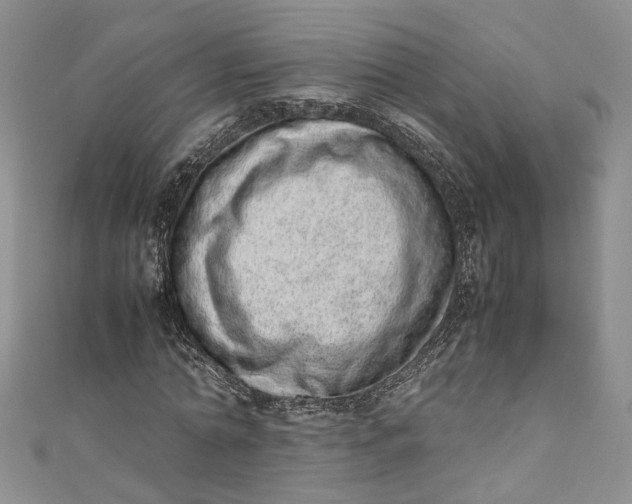 X0000110910774200907091436