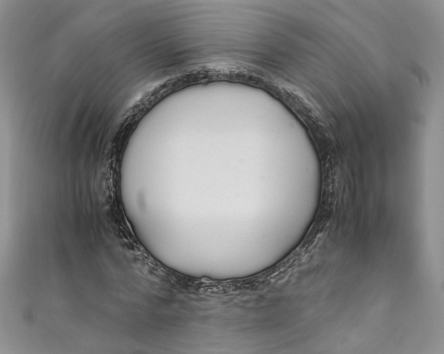 X0000110910776200907091436