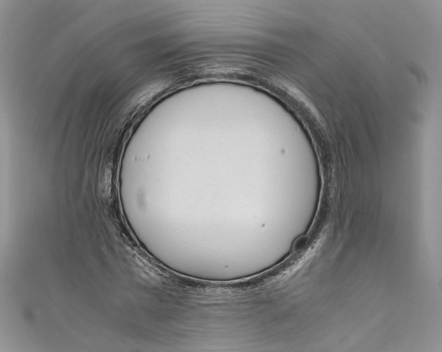 X0000110910777200907091436