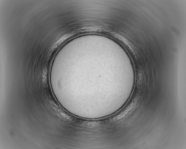 X0000110910778200907091435