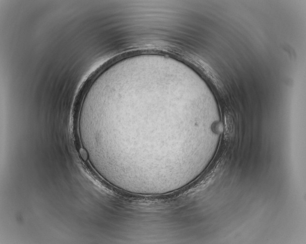 X0000110910780200907091435