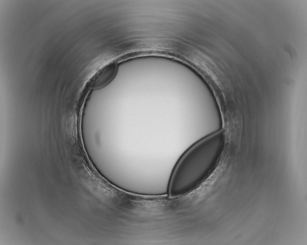 X0000110910781200907091435