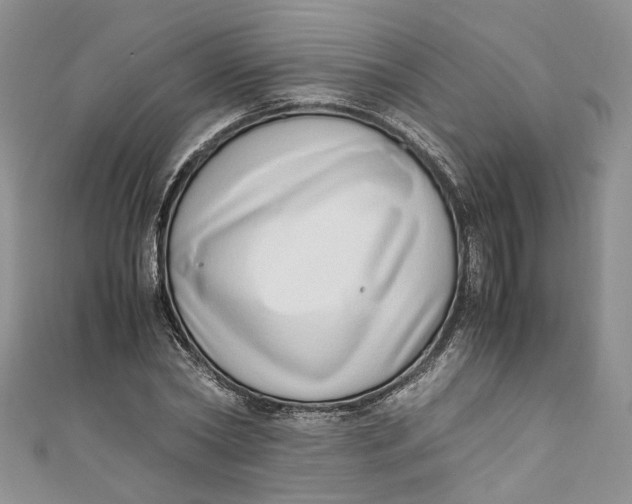 X0000110910782200907091435