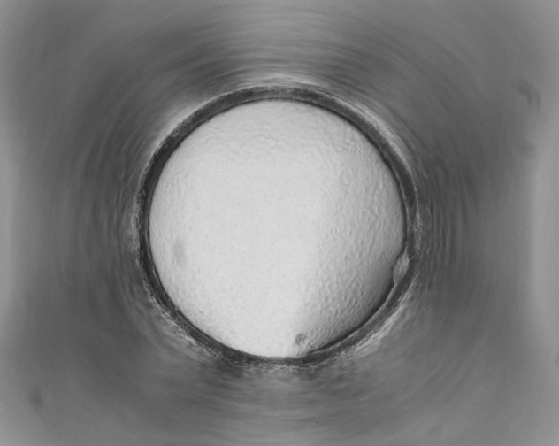 X0000110910783200907091435