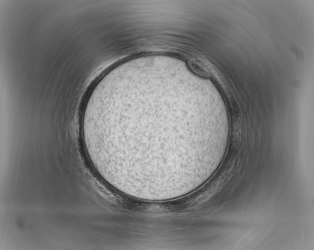 X0000110910787200907091435