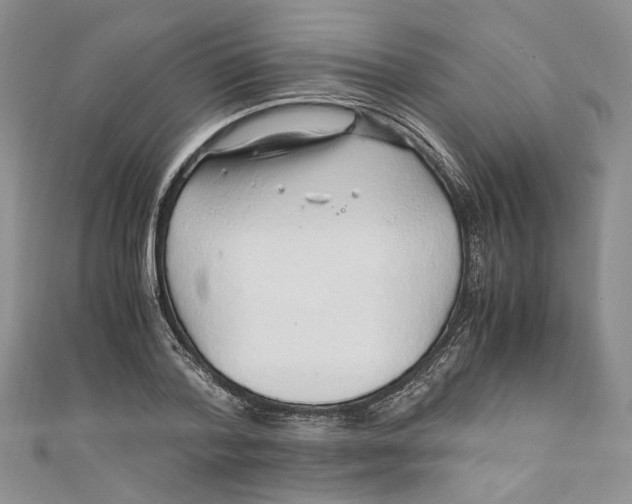 X0000110910788200907091435