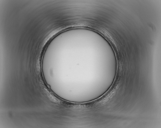 X0000110910789200907091435