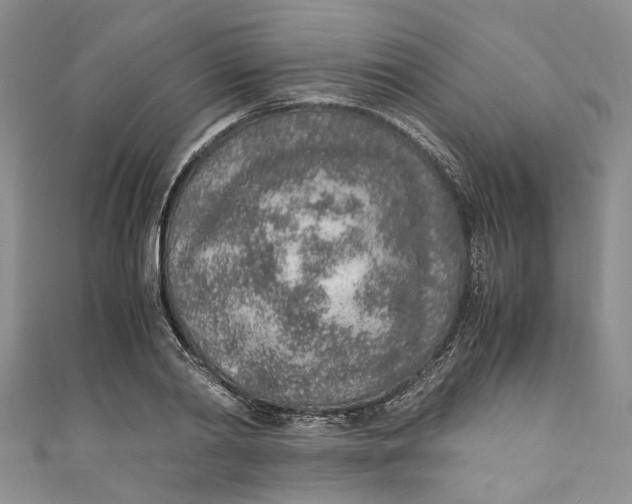 X0000110910790200907091435