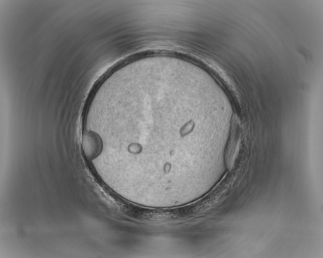 X0000110910791200907091435