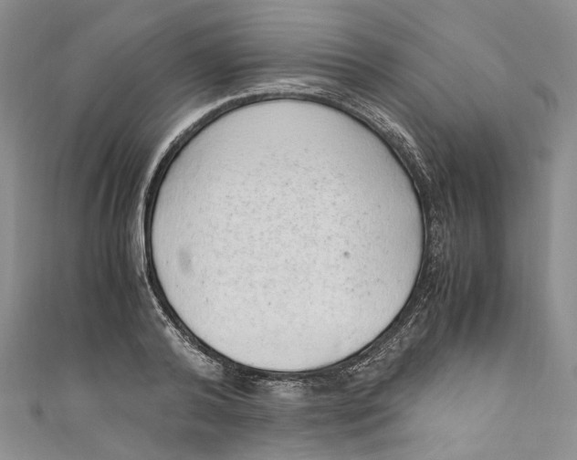 X0000110910792200907091435