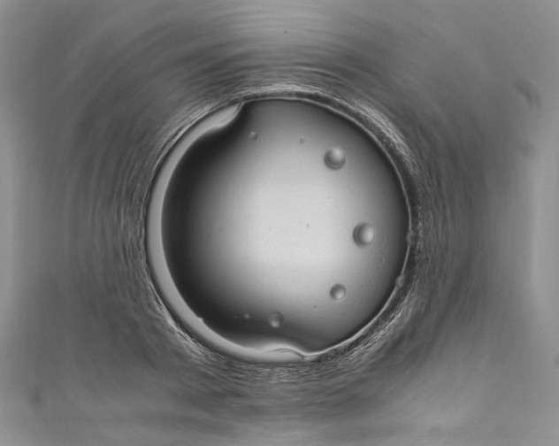 X0000110910793200907091435