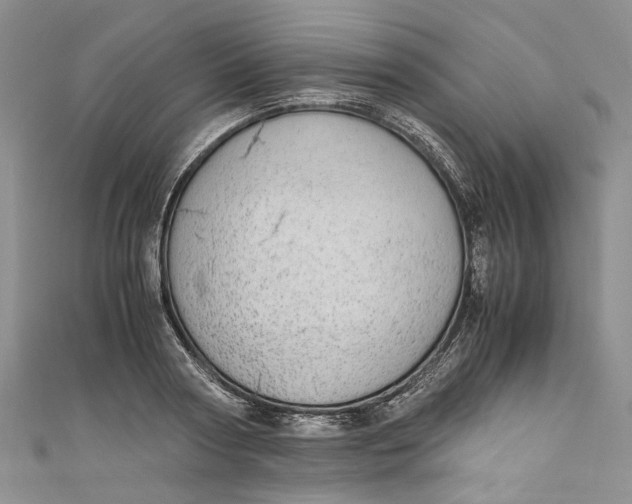 X0000110910794200907091435