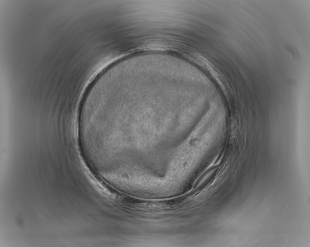 X0000110910795200907091435