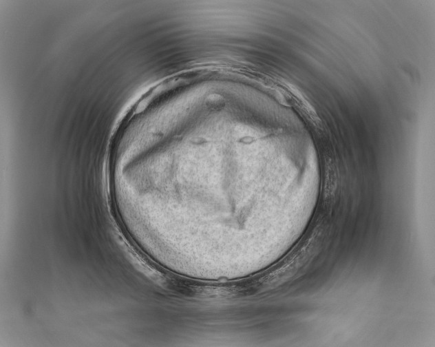 X0000110910796200907091435