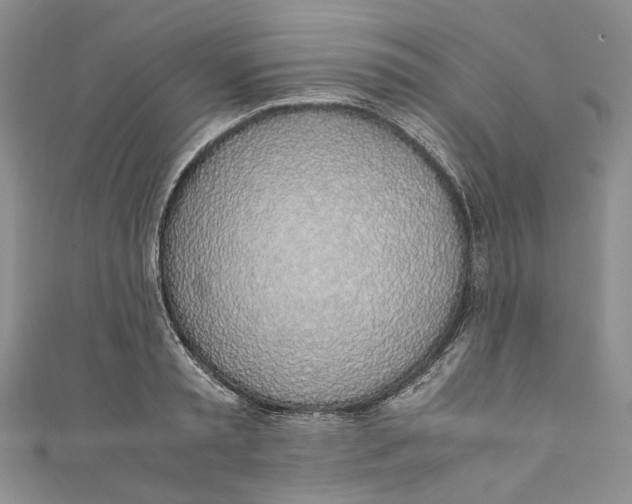 X0000110910797200907091435