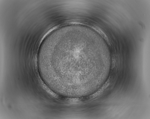 X0000110910798200907091435