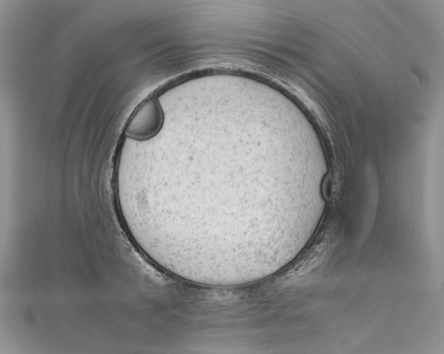 X0000110910799200907091435