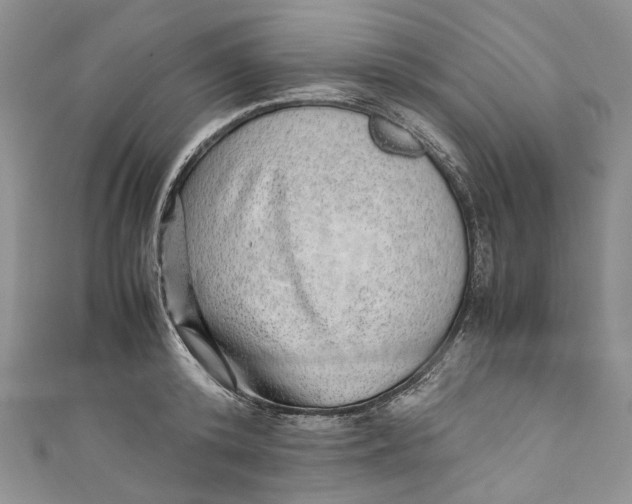 X0000110910800200907091435