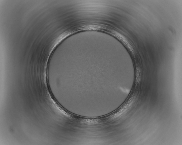 X0000110910802200907091435