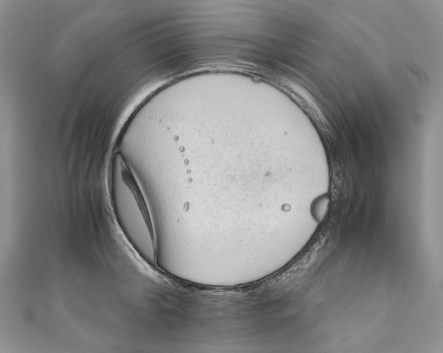 X0000110910804200907091435