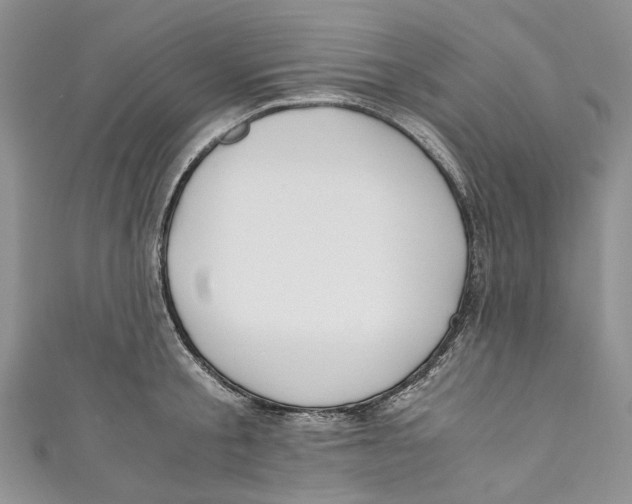 X0000110910805200907091435