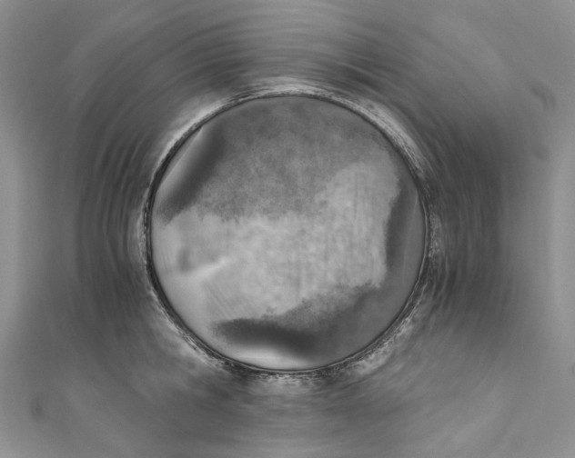 X0000110910806200907091435