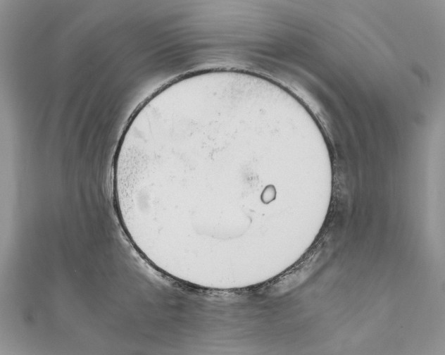 X0000110910807200907091435