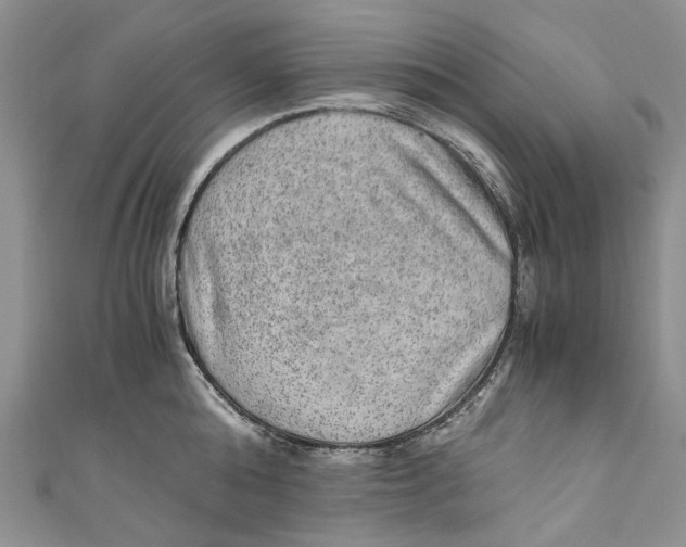 X0000110910808200907091435