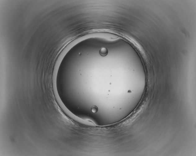 X0000110910809200907091435