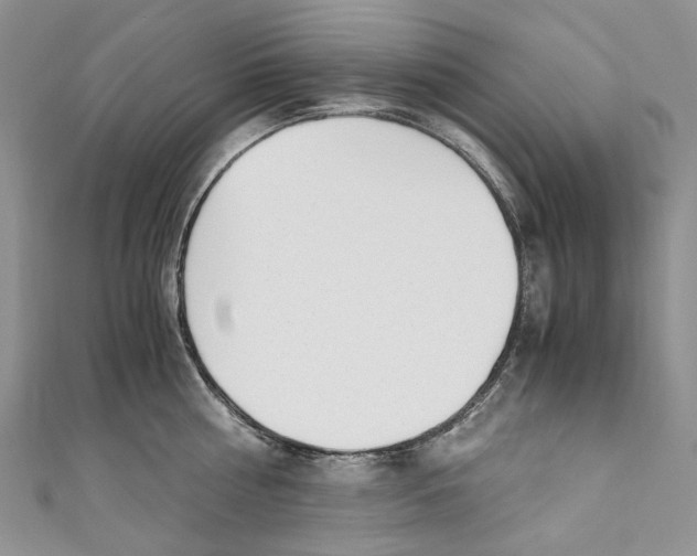 X0000110910810200907091435